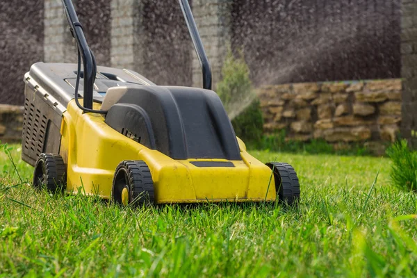 çim çimen-kesici olduğunu