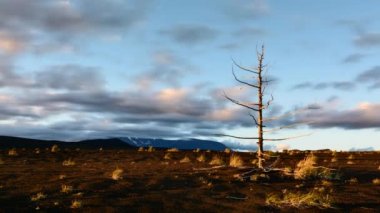 Zaman atlamalı. Sunset bulvarında bölge, paketlenmiş volkanik kül tabakası ile kaplı Deadwood - alan. 