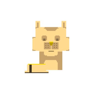 Basit piksel sanat tarzı de sevimli iç kedi