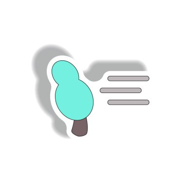 Fırtına ve ağaç, kasırga felaketi