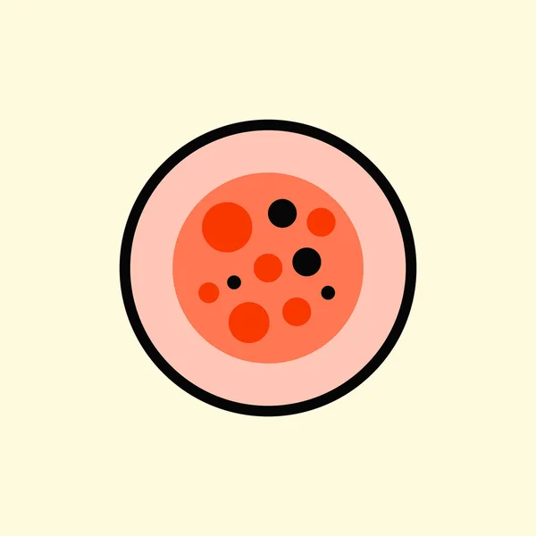Суші Рулет Шматок Японська Їжа Суші Рол Рисом Векторна Іконка — стоковий вектор