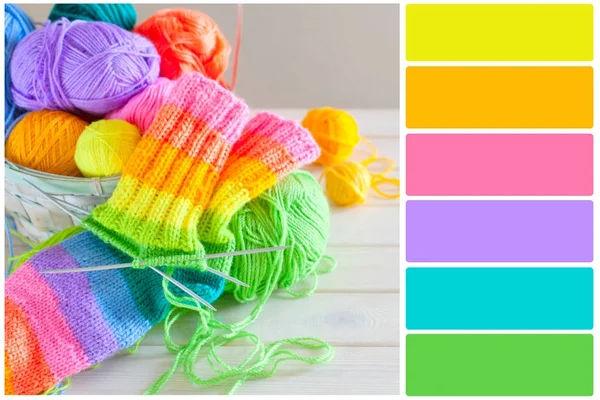 Bright color palette. Choice of colors. — Stock Photo, Image
