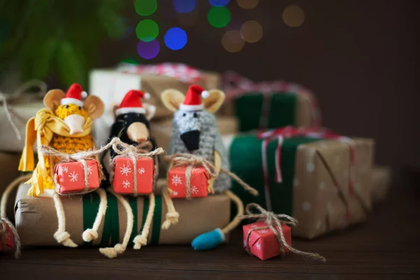 Ratten aus Garn in Weihnachtsmützen gestrickt. Geschenkboxen, Fichtenbüstenhalter — Stockfoto