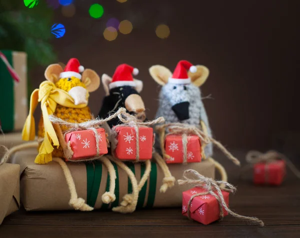 Ratten aus Garn in Weihnachtsmützen gestrickt. Geschenkboxen, Fichtenbüstenhalter — Stockfoto