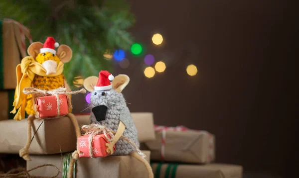 크리스마스 모자를 쓴 쥐들 이야. 선물 상자, 가문 비브 — 스톡 사진