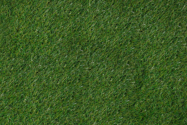 green grass natural texture  background, background concept