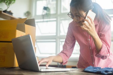 Mutlu kadın akıllı telefondan siparişi kontrol ediyor, evde internet işi, iş sahibi konsepti