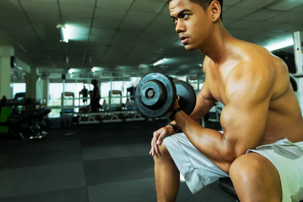 Spor salonundaki halterler, spor konsepti, spor konsepti, spor salonundaki halterlerle egzersizleri gösteriyor.