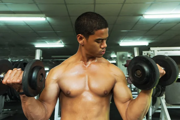 Spor salonundaki halterler, spor konsepti, spor konsepti, spor salonundaki halterlerle egzersizleri gösteriyor.