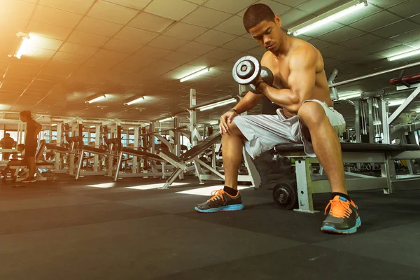 Spor salonundaki halterler, spor konsepti, spor konsepti, spor salonundaki halterlerle egzersizleri gösteriyor.