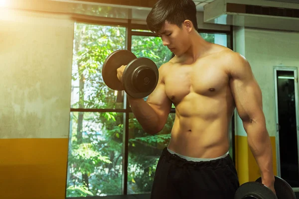 Spor salonundaki ağırlık kaldırma egzersizleri, spor konsepti, spor konsepti.