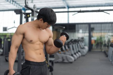 Spor salonundaki halterler, spor konsepti, spor konsepti, spor salonundaki halterlerle egzersizleri gösteriyor.