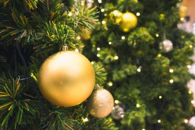 Noel arkaplanı hediye kutuları ve köknar ağacı dalları ile ahşap, arka plan kavramı