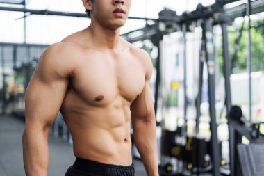 güçlü fitness adam kas vücut poz ve spor salonunda vücut geliştirmeci için egzersizler yapıyor, fitness kavramı, spor konsepti