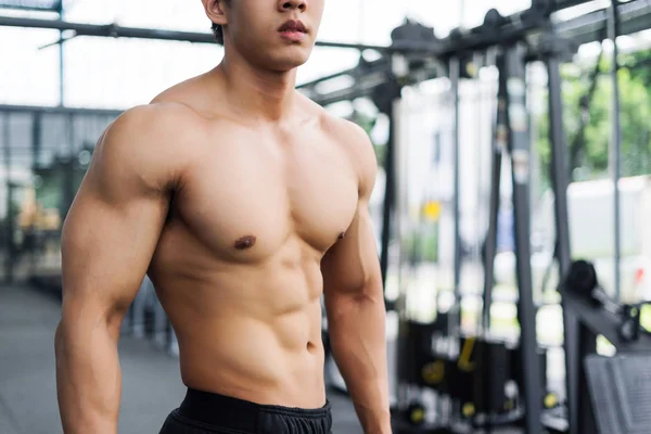 güçlü fitness adam kas vücut poz ve spor salonunda vücut geliştirmeci için egzersizler yapıyor, fitness kavramı, spor konsepti