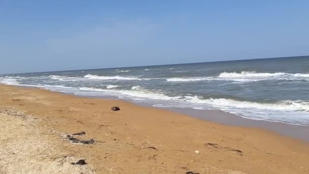 Sandy beach of the Sea of Azov — Stock Footage Sandy Beach Sea Azov Royalty Free Stock Video
