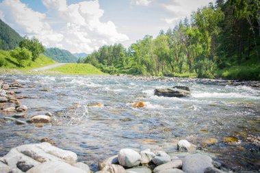 Krasnodar Bölgesi 'nin fırtınalı dağ nehri