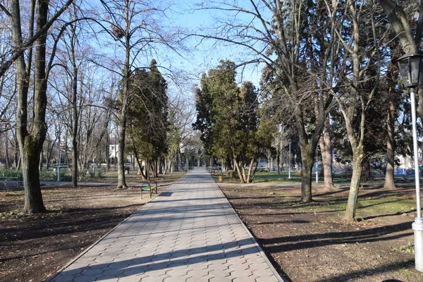 Bryukhovetskaya Köyündeki Central City Parkı — Stok fotoğraf