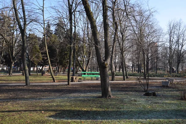 Parque Cidade Central Aldeia Bryukhovetskaya — Fotografia de Stock