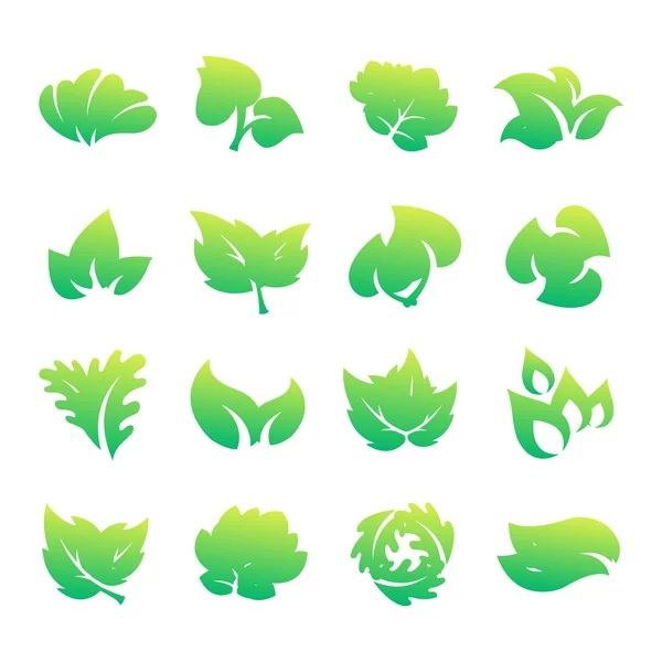 Leaf icon vector illustration. — Stock Vector