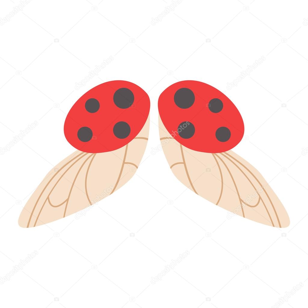 Ladybug wings isolated vector illustration