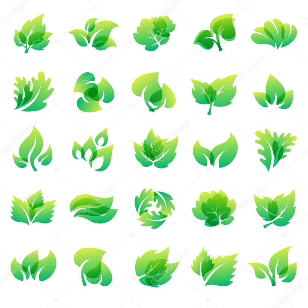 Leaf icon vector illustration.