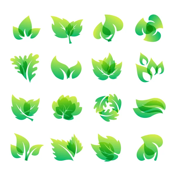 Leaf icon vector illustration. — Stock Vector