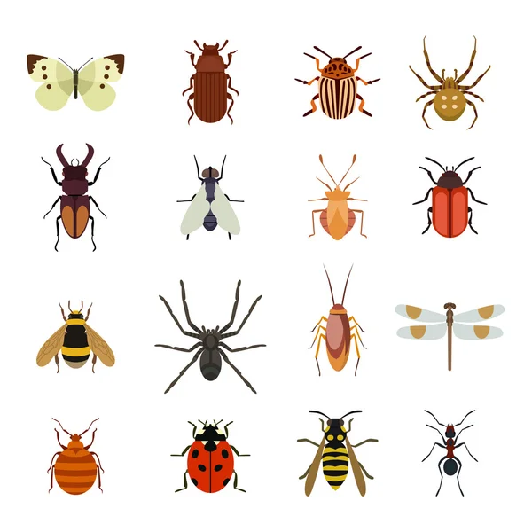 Ikony owadów płaski zestaw — Wektor stockowy