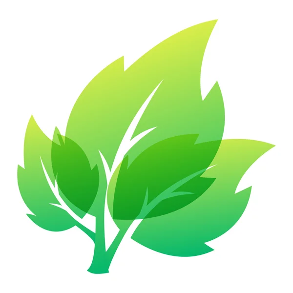 Leaf icon vector illustration. — Stock Vector