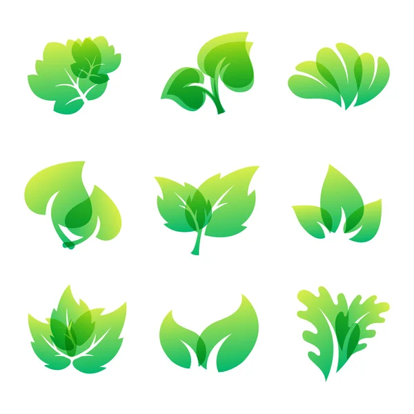 Leaf icon vector illustration. — Stock Vector