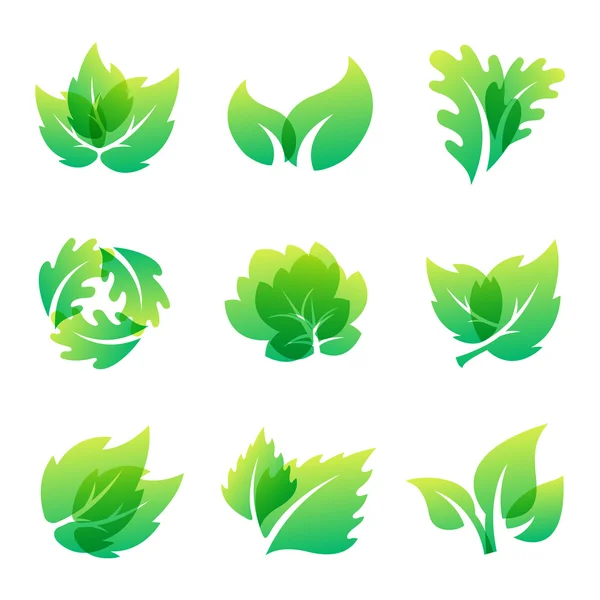 Leaf icon vector illustration. — Stock Vector