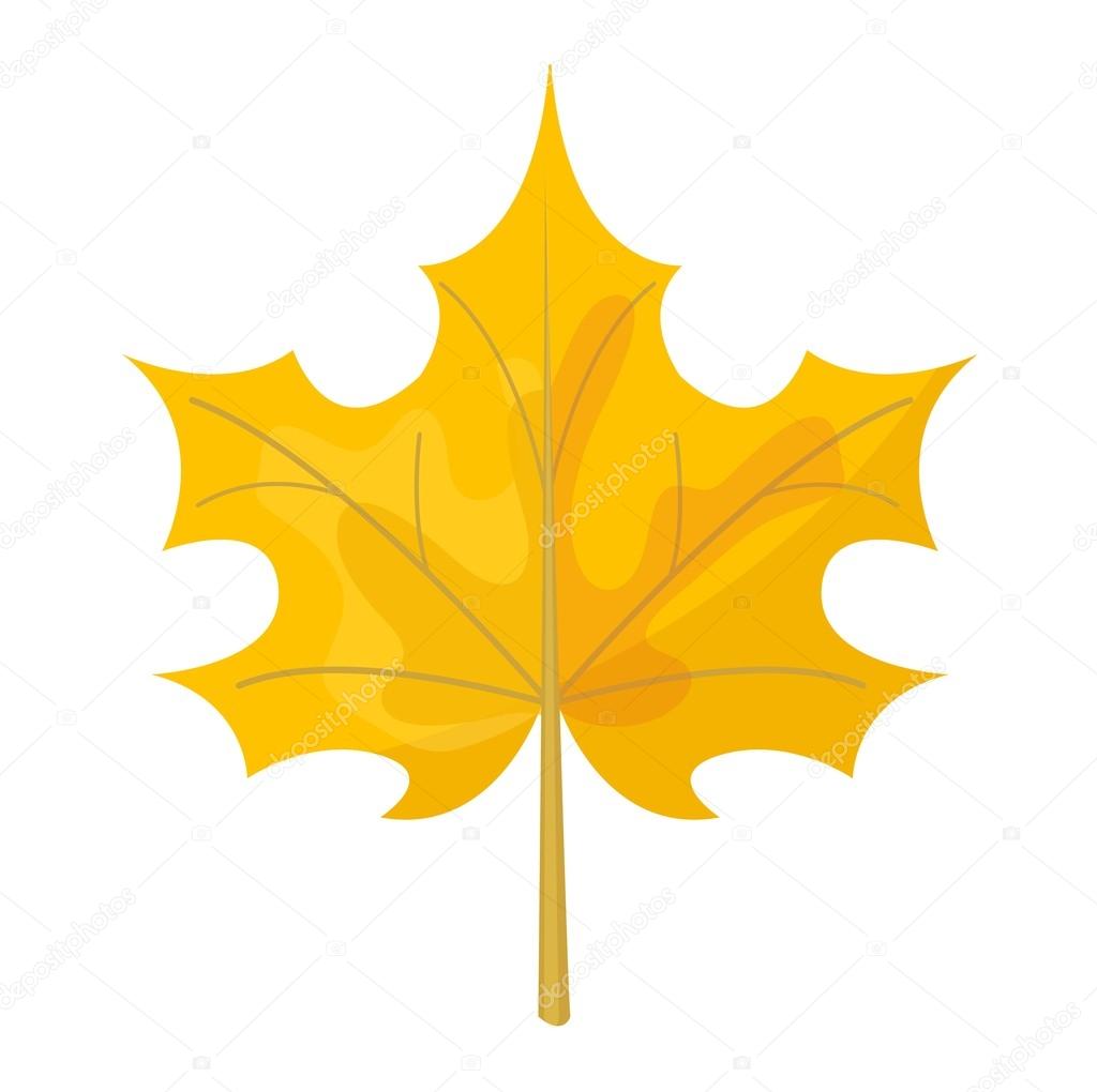 autumn leaf vector illustration.