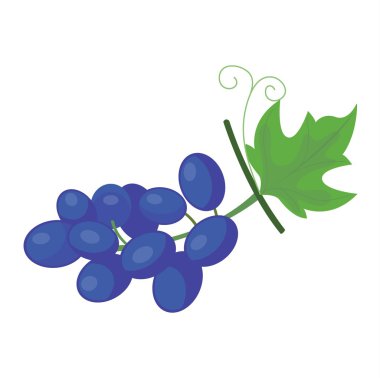 BlackBerry vektör çizim.