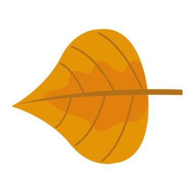 sonbahar yaprak vektör çizim.