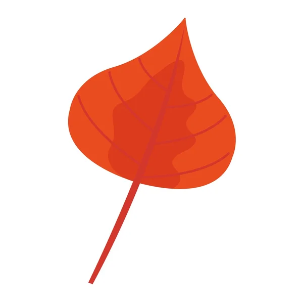 Ilustracja wektorowa jesienny liść. — Wektor stockowy