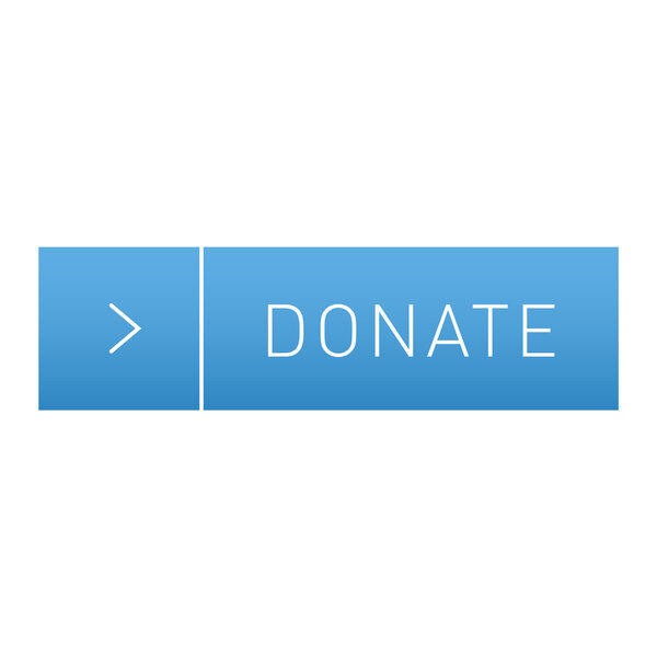 Donate button vector icon