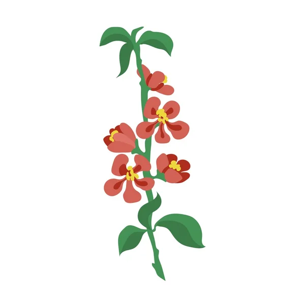 Ghirlanda di fiori naturali — Vettoriale Stock