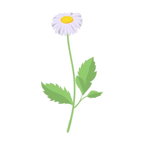 Φύση λουλούδια στεφάνι — Διανυσματικό Αρχείο