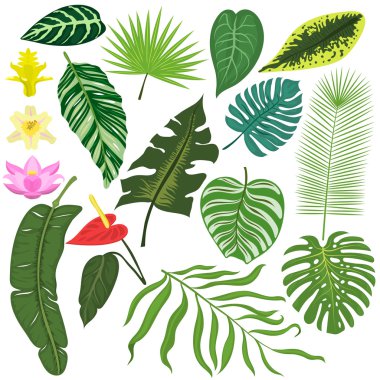 Doğa çiçek çelenk illüstrasyon seamless modeli