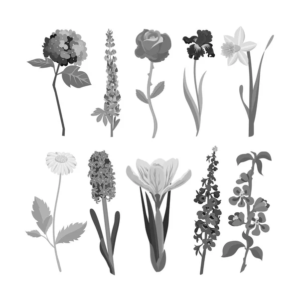 Corona de flores de naturaleza — Vector de stock