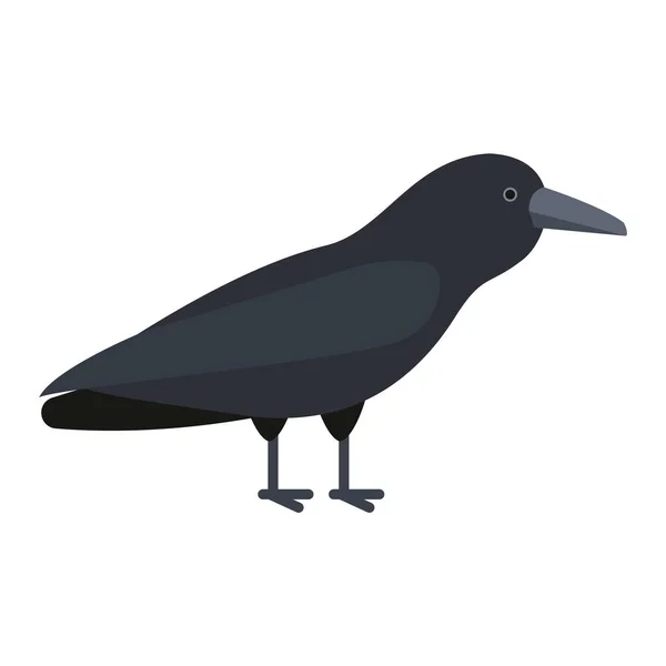 Carrion crow raven — Stock Vector