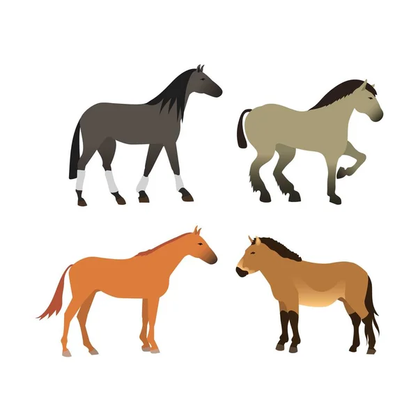 Horse vector isolated animal. — Stock Vector