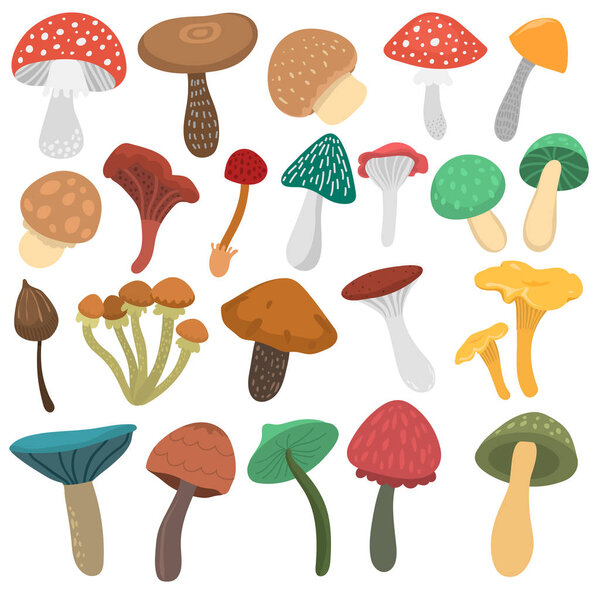 Mushrooms vector illustration set