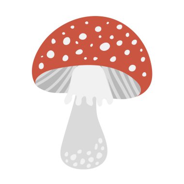 Amanita Zehirli mantar