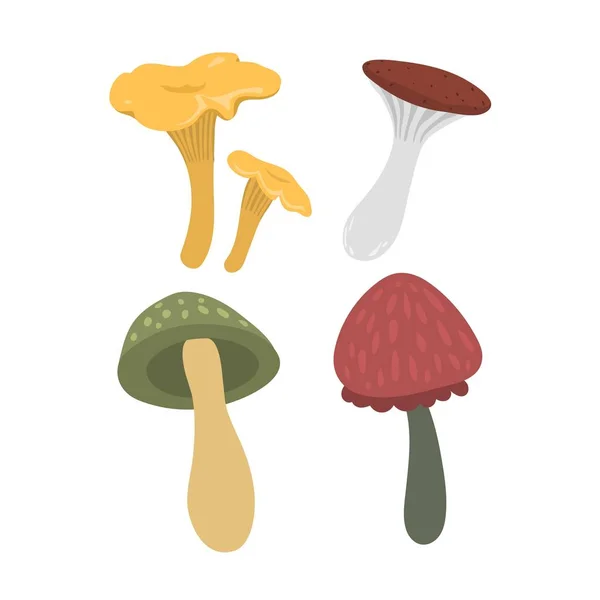 Conjunto de ilustrações vetoriais de cogumelos — Vetor de Stock