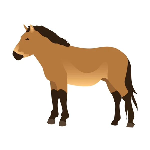 Paard vector geïsoleerde dier. — Stockvector