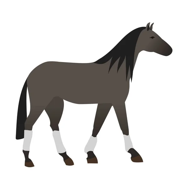 Horse vector isolated animal. — Stock Vector