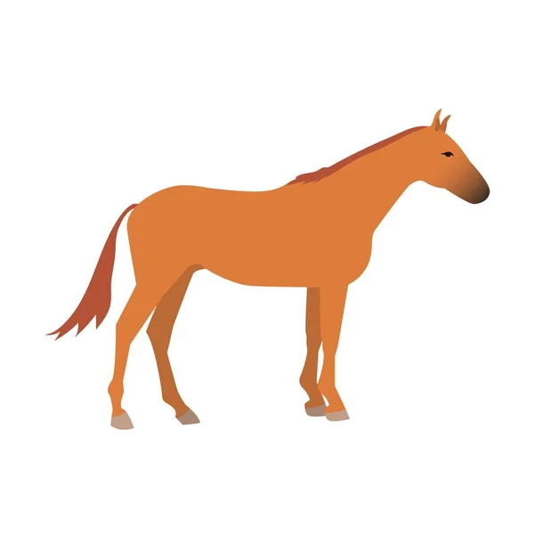 Paard vector geïsoleerde dier. — Stockvector