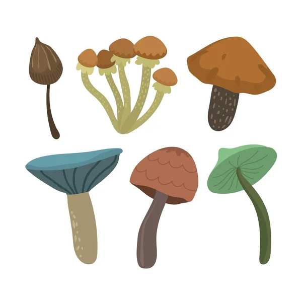 Ensemble d'illustrations vectorielles champignons — Image vectorielle