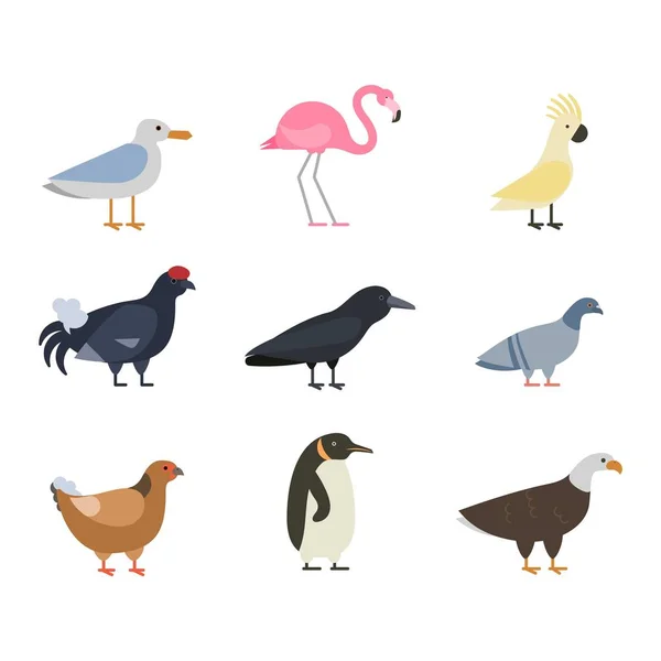 Πουλιά διάνυσμα σύνολο εικονογράφηση απομονωμένες — Διανυσματικό Αρχείο